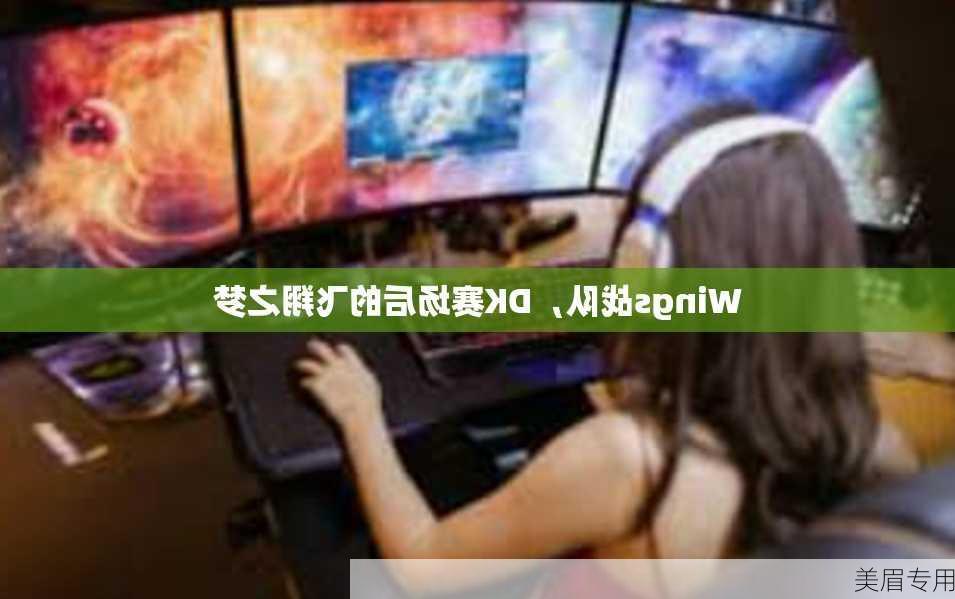 Wings战队，DK赛场后的飞翔之梦