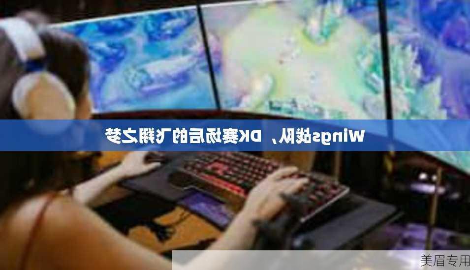 Wings战队，DK赛场后的飞翔之梦