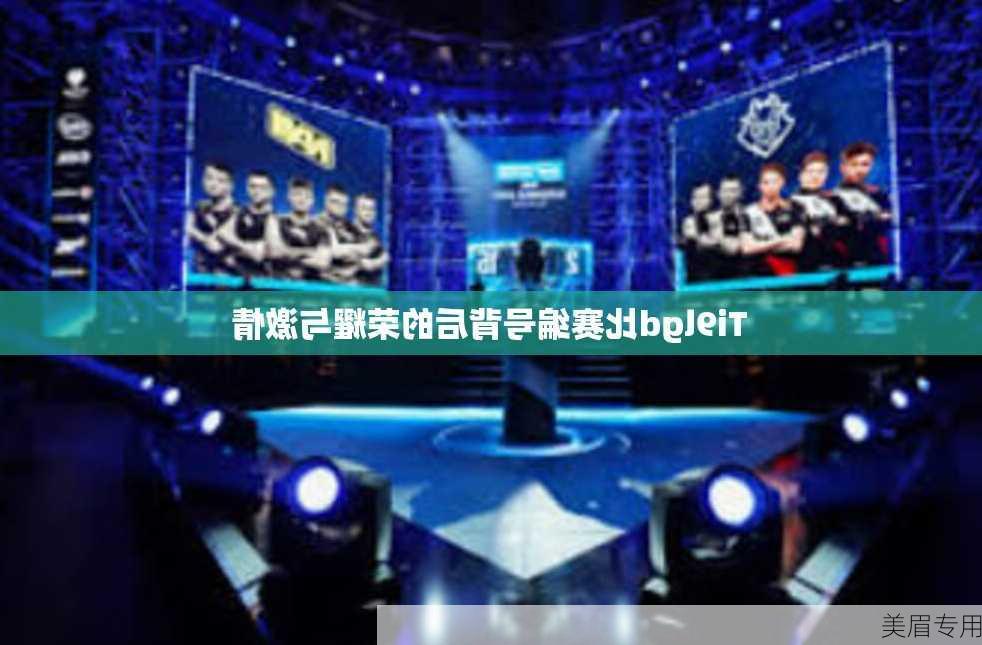 Ti9lgd比赛编号背后的荣耀与激情